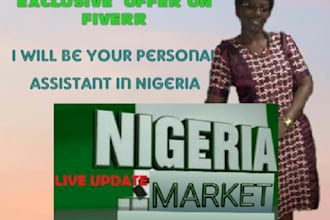 do a business and market research of nigeria