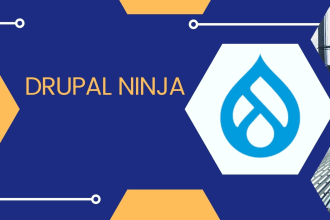 develop a drupal website or fix, update drupal issues