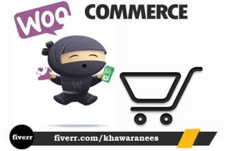 build professional responsive wordpress business and ecommerce website