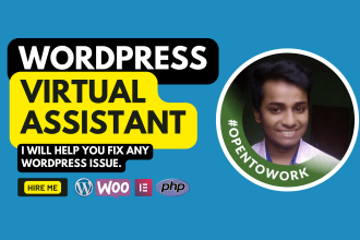 be your wordpress virtual assistant, wordpress maintenance