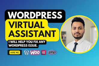 be your wordpress virtual assistant, wordpress maintenance