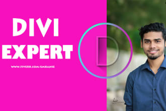 customize,fix and modify divi theme