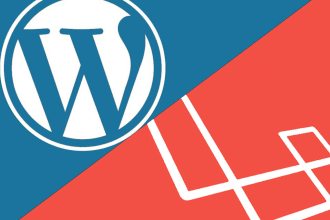 fix issues and do modifications of wordpress and laravel