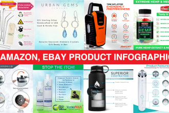 convert amazon, ebay product photograph into infographics