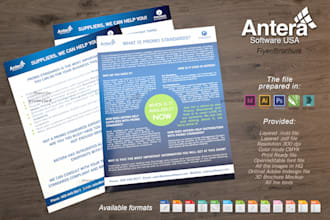 design a professional flier or brochure for you