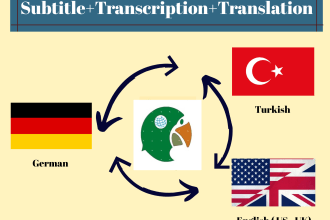 translate and subtitle turkish english german