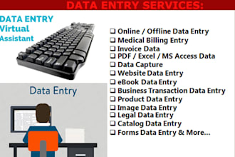 do any data entry job for 2 hours