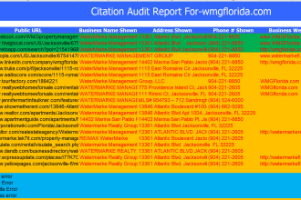do citation audit and website audit