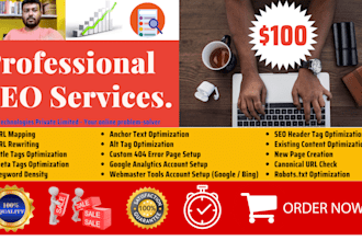 do professional SEO services