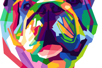 draw an amazing wpap potrait of your pet in 24 hours