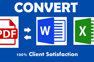 convert PDF to word, pdf to excel in 12 hr