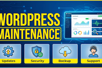 provide monthly wordpress maintenance and support