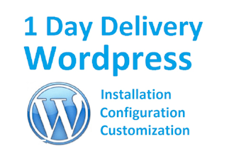 install,configure, customize wordpress with in 24 hours