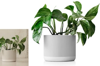 do professional product image retouching