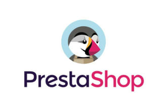 fix any kind of error and issues to the prestashop website