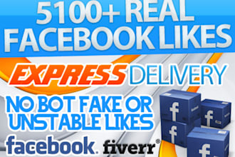 2400 Genuine High Quality REAL Page Likes, fb fans, pagel ikes, facebook pages