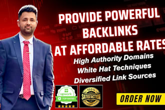 provide pro SEO backlinks an affordable rate