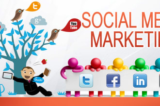 set up manage and optimise your social channels