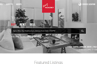 professionally design or improve your website