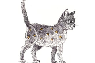 draw an elegant black and golden illustration