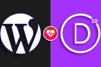install or customize your divi theme