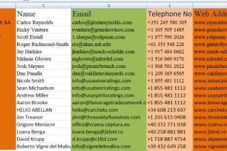 be your virtual assistant for data entry, web research, copy paste