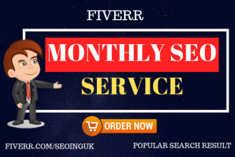 provide monthly SEO service to rank in google 1st page