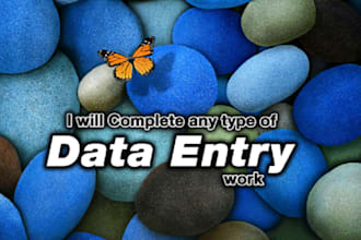 complete your all type of data entry work