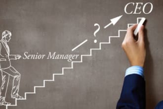 write a CEO executive resume,cv, cover letter