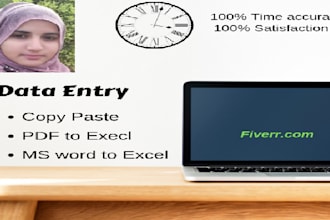 do data entry or copy paste work  for 3 hours