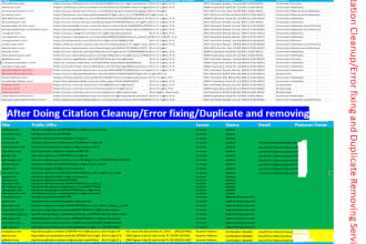 do citation cleanup, error fixing and duplicate removing