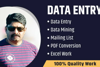 do expert data entry work