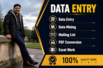 do expert data entry work