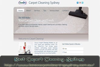 develop a professional website