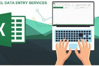 do excel data entry or financial statements