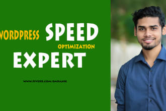 do wordpress speed optimization and increase page speed