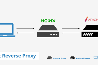 setup and optimize your apache2 and or nginx configuration
