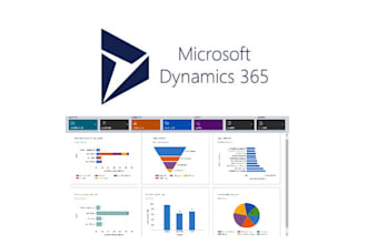 do anything related to dynamics CRM such as integration, add or remove field etc