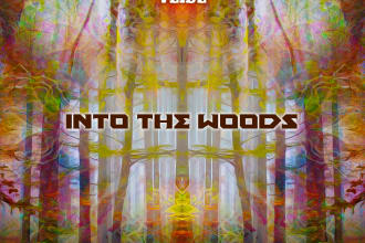 design album artwork cover for music producers