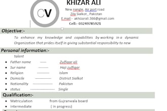 write professional cv,resume  for you
