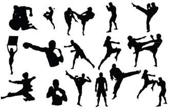 give you a pro consultation about martial art