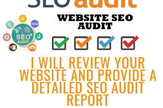 review your website and provide a detailed SEO audit report