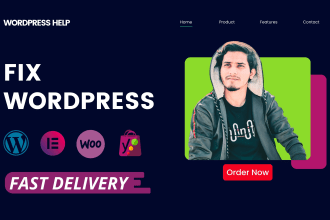 fix wordpress errors, wordpress issues, or wordpress help