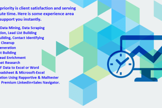 do lead enrichment and email list building task