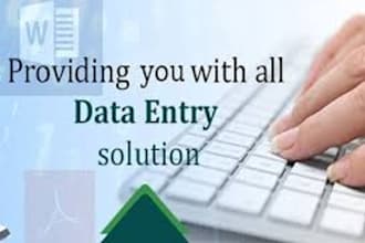 do data entry and data analysis within 24 hours