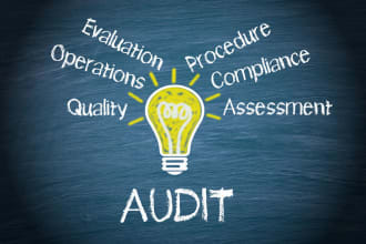 do audit of financial position or income statement