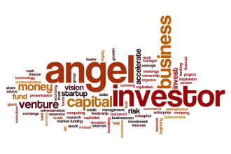 send list with 50 US angel investors