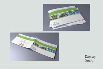 do professional and unique magazine layout,brochure,catalog