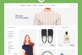 customize your shopify store and fix bugs