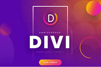 be your divi expert, divi developer, wordpress developer